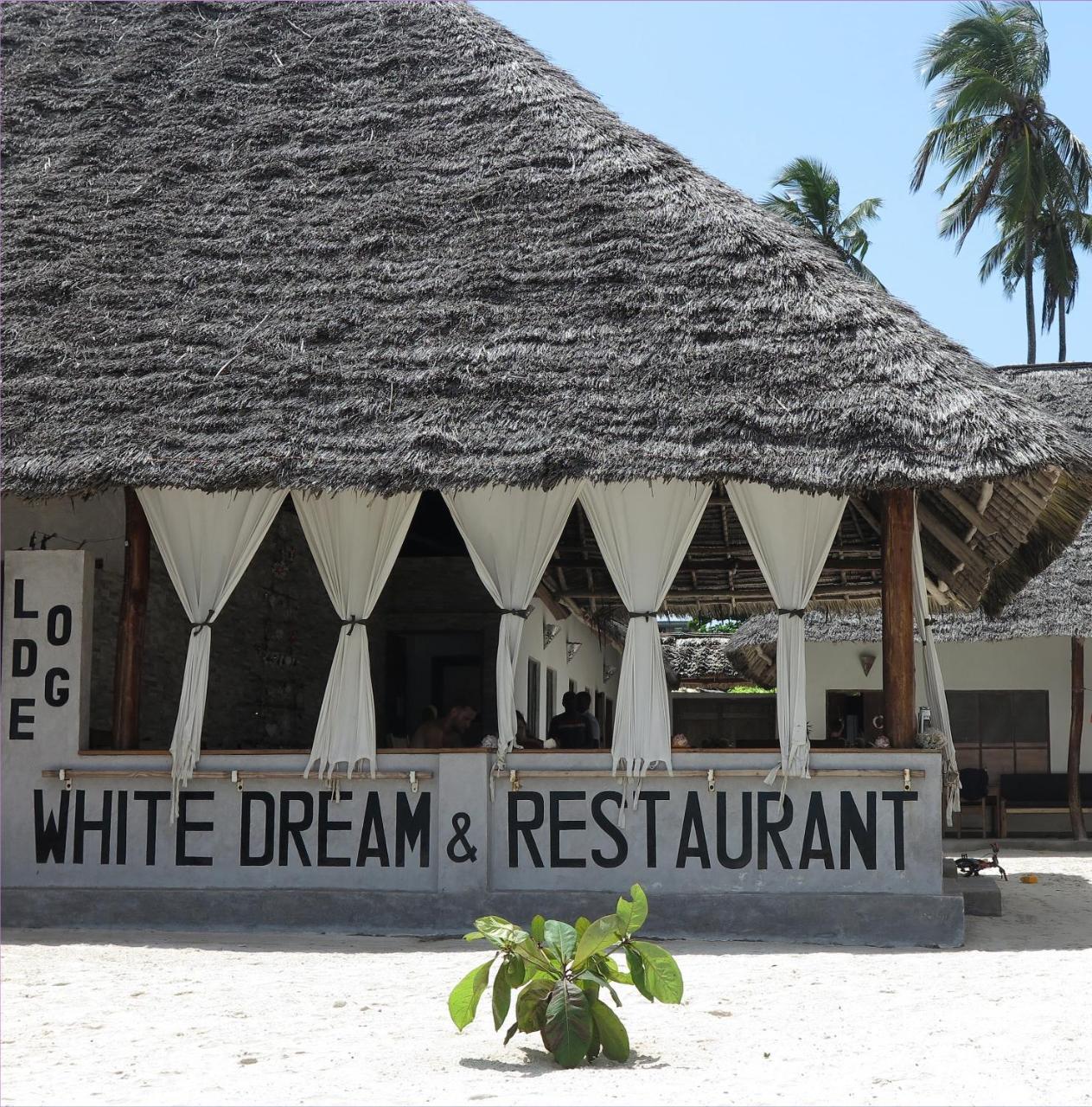 White Dream Bed & Breakfast Kiwengwa  Dış mekan fotoğraf